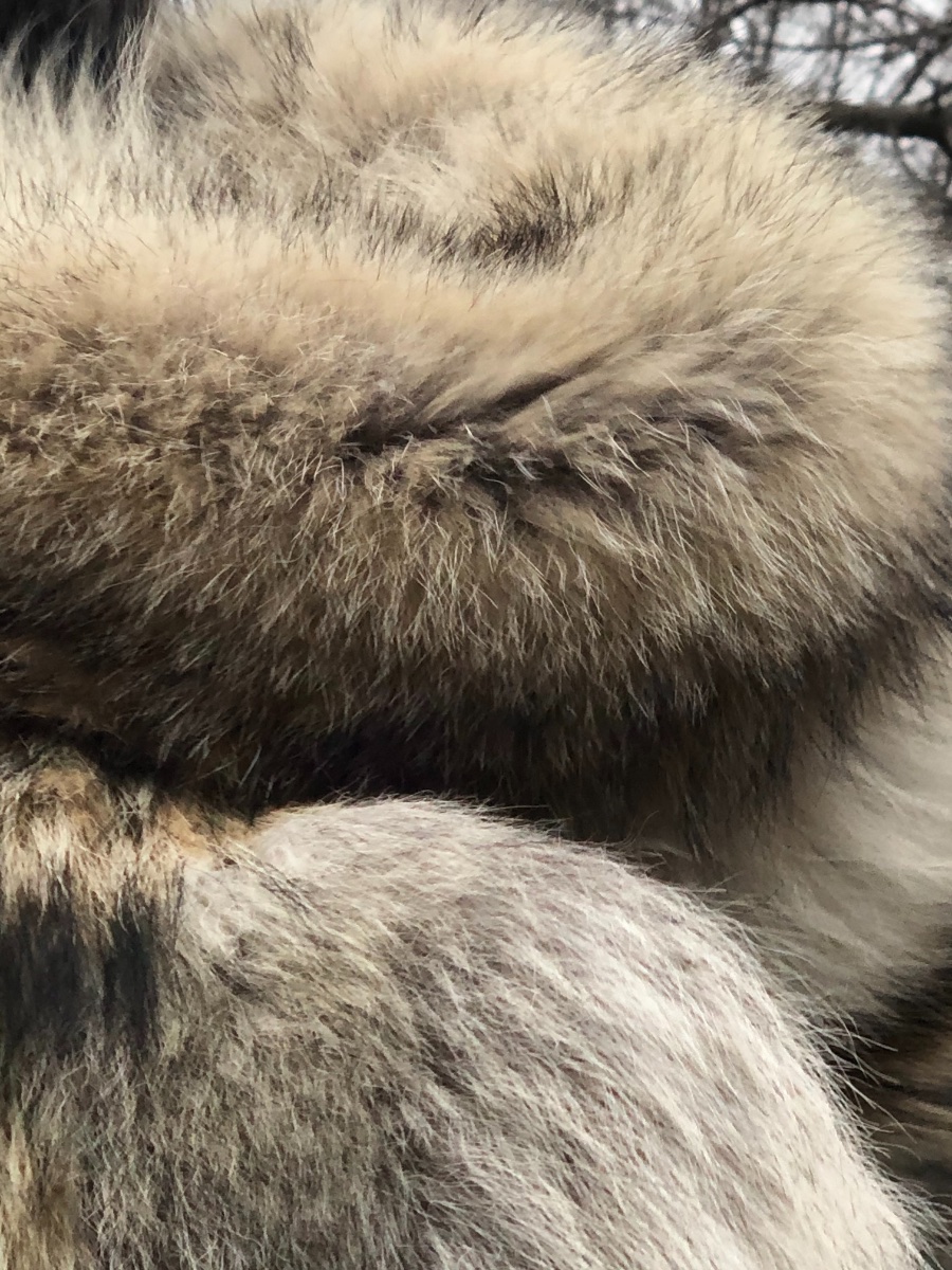 RARE! Canadian Arctic Timber Wolf Fur Parka - Fur Mall - The Fur Den